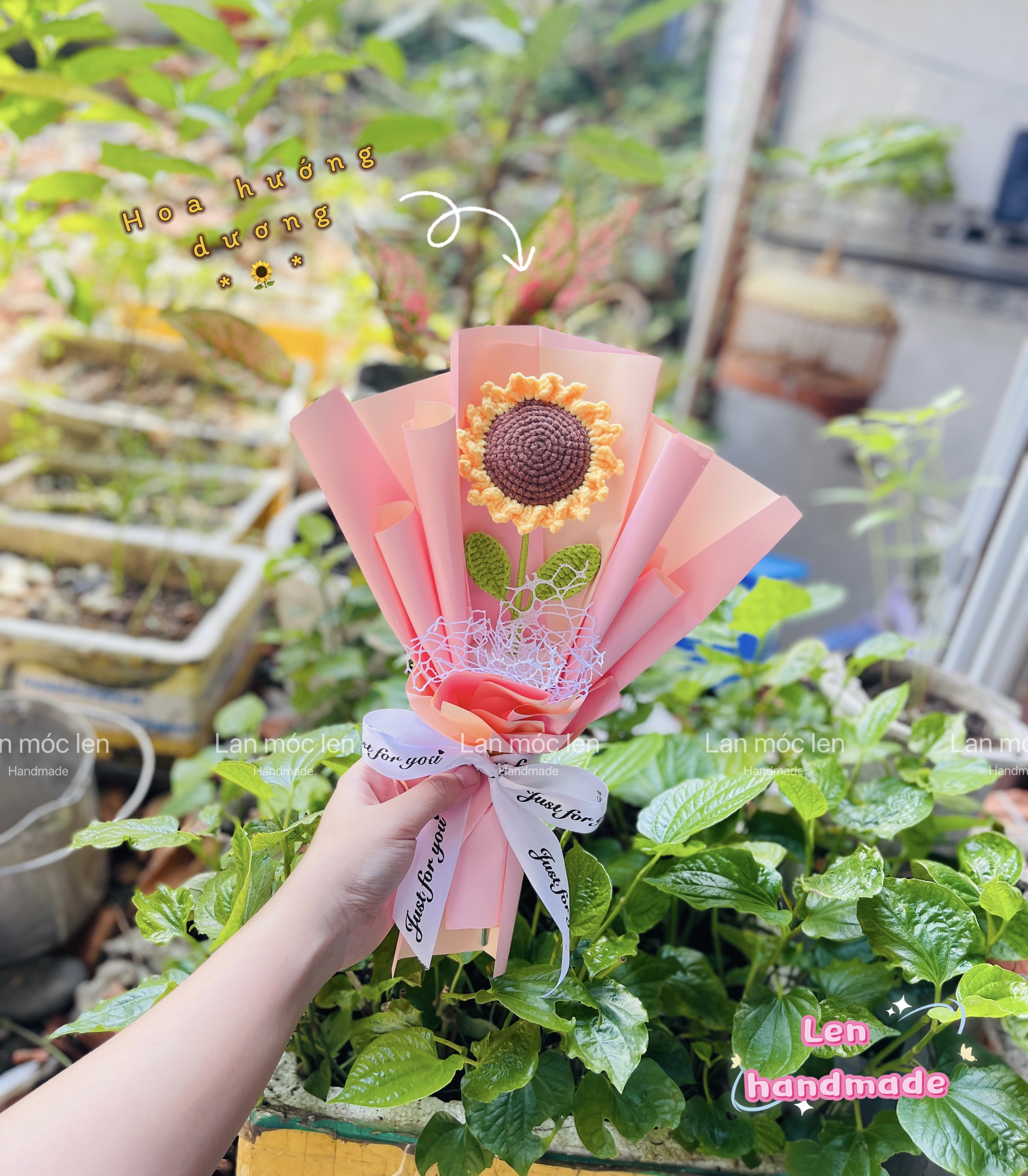 Hoa hướng dương  2 - Lan Móc Len